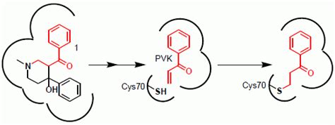 Exploration of Piperidinols as Potential Antitubercular Agents