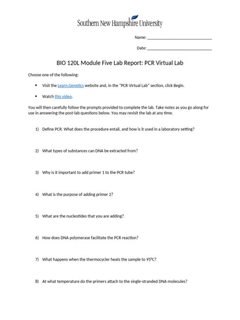 PCR Virtual Lab 的图像结果