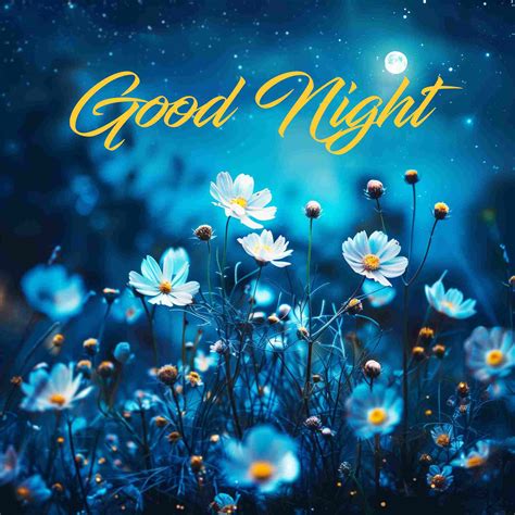 100+ Beautiful Good Night Images & Quotes for a Peaceful Night