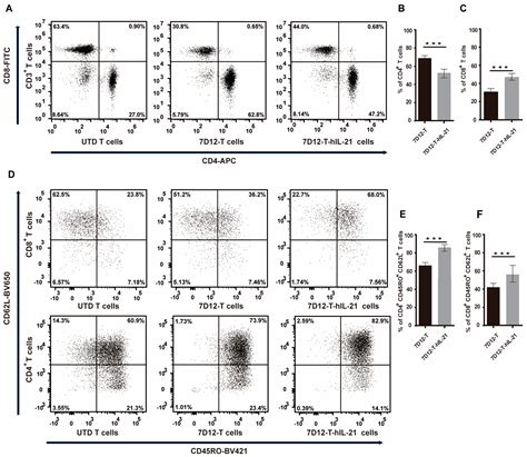 Interleukin 21-Armed EGFR-VHH-CAR-T Cell Therapy for the Treatment of ...