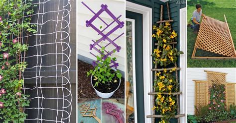 Image result for Creer Classes Treillis En Java