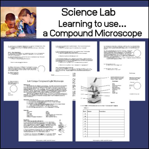 Compound Microscope Lab 的图像结果