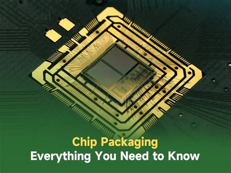 Image result for Shell Case Microchip Packaging