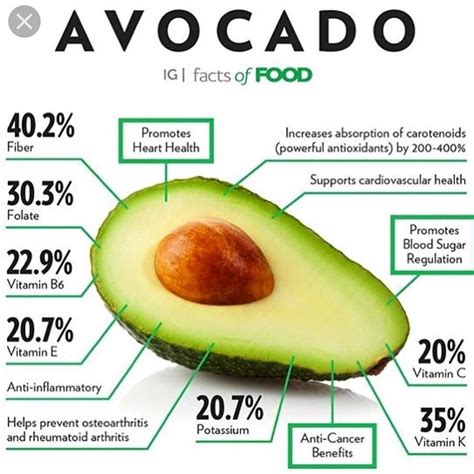 What Fatty Acids Are In Avocado at Deborah Grant blog