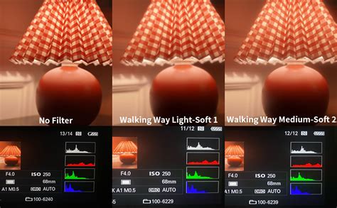 Image result for Camera Diffusion Filter