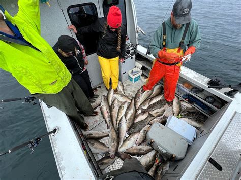 SELDOVIA FISHING ADVENTURES AND HOUSE ON THE ROCK B&B (2026) All You ...