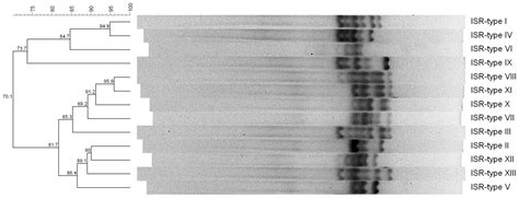 Prevalence, Enterotoxigenic Potential and Antimicrobial Resistance of ...