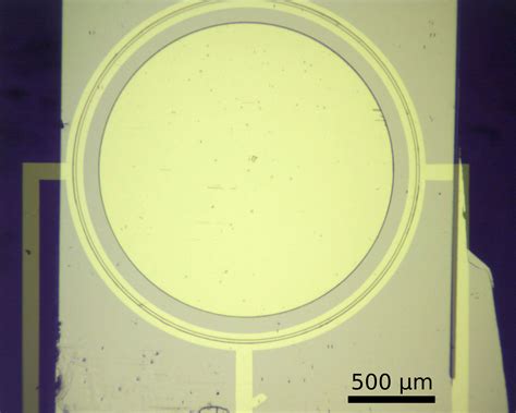Laser Web 的图像结果