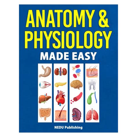 Anatomy & Physiology Made Easy: Illustrated Study Guide - TikTok Shop