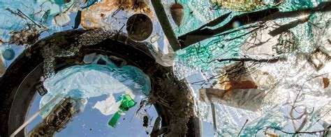 Industry Influence Threatens Global Treaty to Curb Plastic Pollution