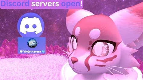 Image result for Purring Discord Server