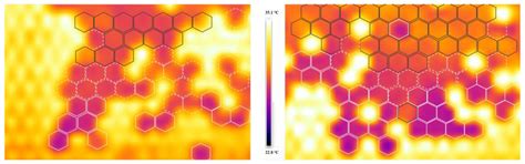 Tracking Varroa Parasitism Using Handheld Infrared Cameras: Is Eusocial ...