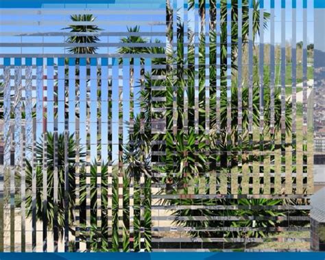 Image result for DVD Slideshow GUI