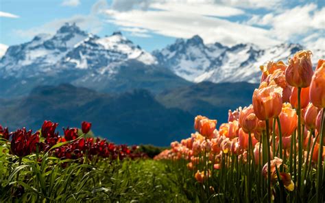The Weather and Climate in Argentina
