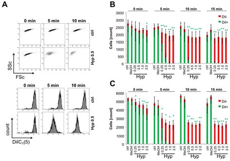 Analysis of Hypericin-Mediated Effects and Implications for Targeted ...
