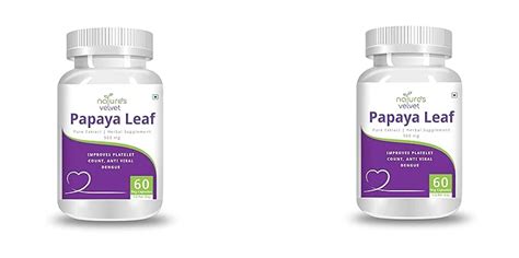 Nature's Velvet Papaya Leaf Extract 500 mg - 60 Veg Capsules : Amazon ...