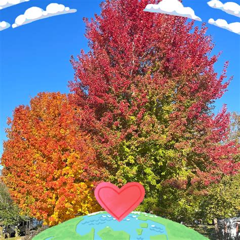 Fouts Funeral Home Woodbine | Woodbine IA