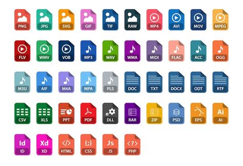 File Format Types 的图像结果
