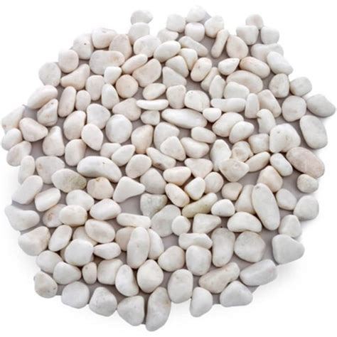 White Painted Pebbles for Decoration |Garden|Table|Terrariums| Home De ...