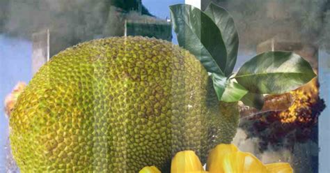 World Trade Center e a Jaca — Teletype