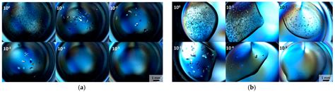 From Initial Hit to Crystal Optimization with Microseeding of Human ...