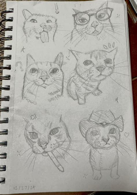 Just silly cat sketches 🗣️ in 2025 | Cat sketch, Cats art drawing, Easy ...