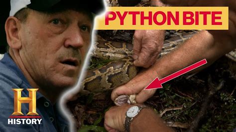 Image result for Swamp People Python Hunters