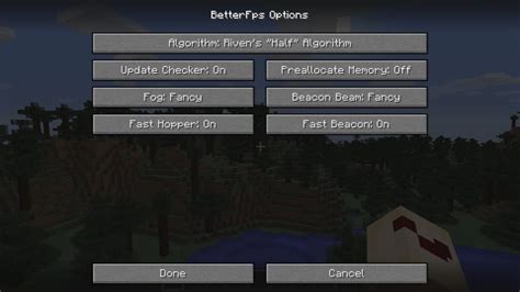 Image result for FPS Boost Minecraft Mod
