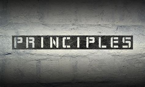 Data Management Principles 的图像结果