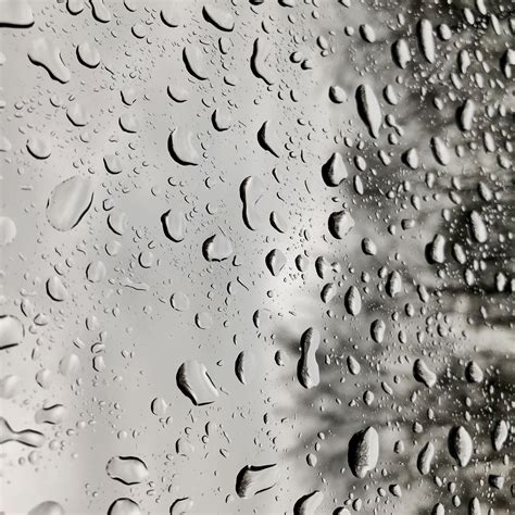 Download wallpaper 2780x2780 drops, rain, moisture, glass, window ...