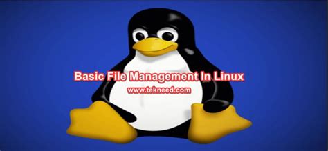 Image result for Linux Disk and File Management