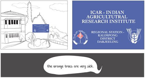 Comic: Natasha and Husnara Save the Mandarins - The Wire