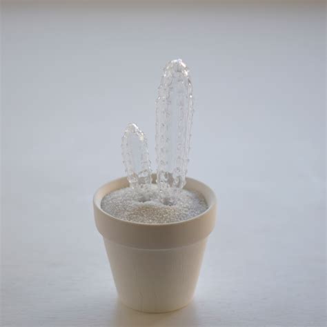 hollow cactus 飛鳥閣 | echidna