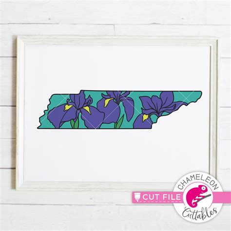Tennessee state flower iris layered svg png dxf eps jpeg Chameleon ...