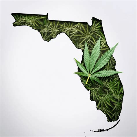 Why Florida Voters Rejected Amendment 3 - Affordable Marijuana License