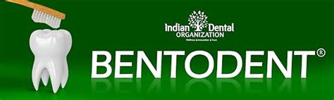 Buy BENTODENT TOOTHPASTE Natural Toothpastes for Entire Family Incl ...