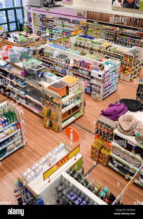 Pet Shop 的图像结果