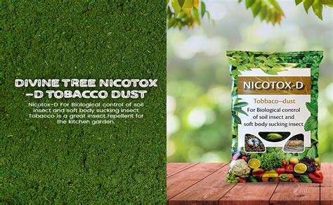 DIVINE TREE Nicotox-D Tobacco Dust Powder for Plants (900g) | Natural ...