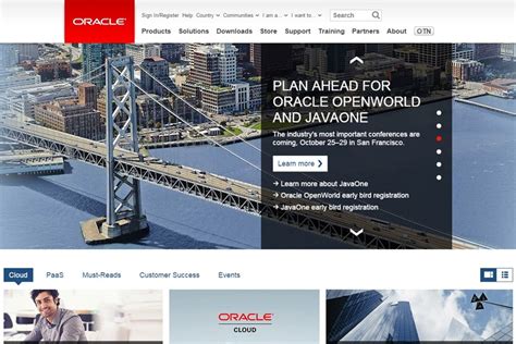 Image result for Oracle Computer Program