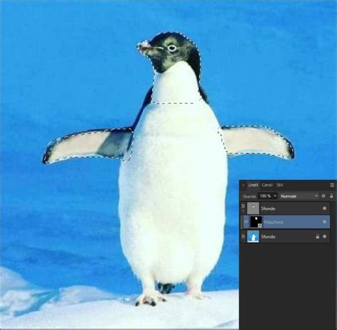 Rezultat imagine pentru Affinity Selections