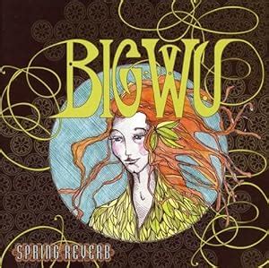 Spring Reverb: Big Wu: Amazon.in: Music}