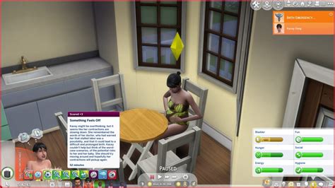 Image result for Sims 4 Childbirth Mod Review