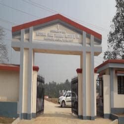 Welcome to National Skill Training Institute(W) | National Skill ...