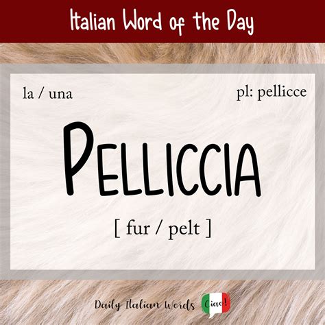 Italian Word of the Day: Pelliccia (fur / pelt) - Daily Italian Words