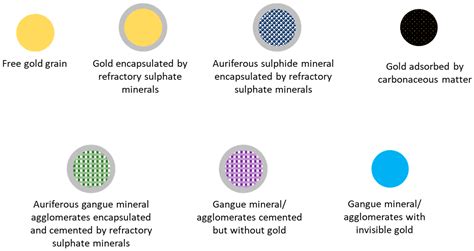 Specific Refractory Gold Flotation and Bio-Oxidation Products: Research ...