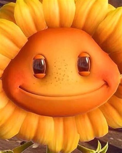 Smiling Sunflower Meme