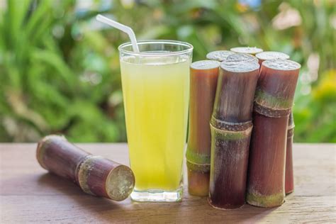 How To Eat Raw Sugar Cane - Recipes.net