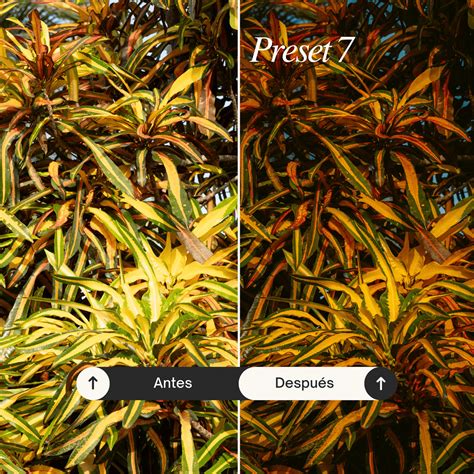 Pack Full - 32 Lightroom Presets - Presets y LUTs para Foto y Video ...