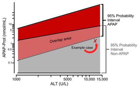 The Evolution of Circulating Biomarkers for Use in Acetaminophen ...