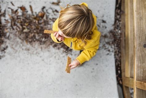 Study finds ‘healthy’ kids snacks could be contributing to growing ...